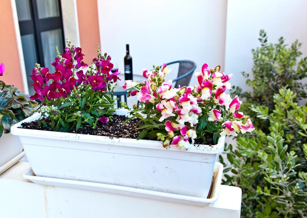 B&B Shining Avola Bagian luar foto